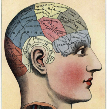 Google Memory Google Memory The “Google Memory” Explored: The Real Effect Link and Content Velocity Have on Your Website